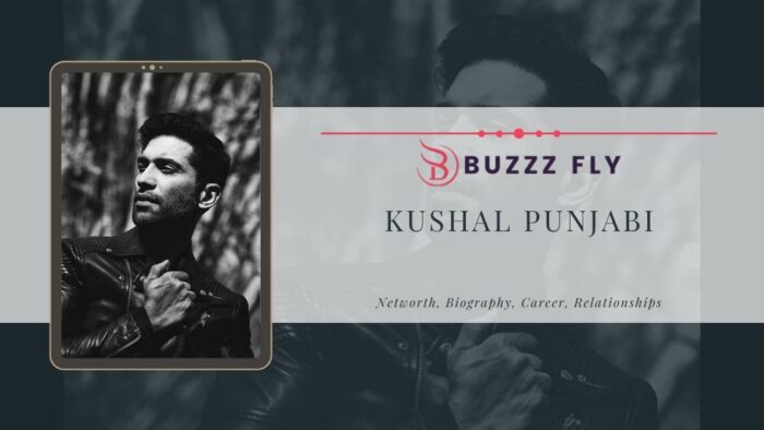 Kushal Punjabi Net Worth